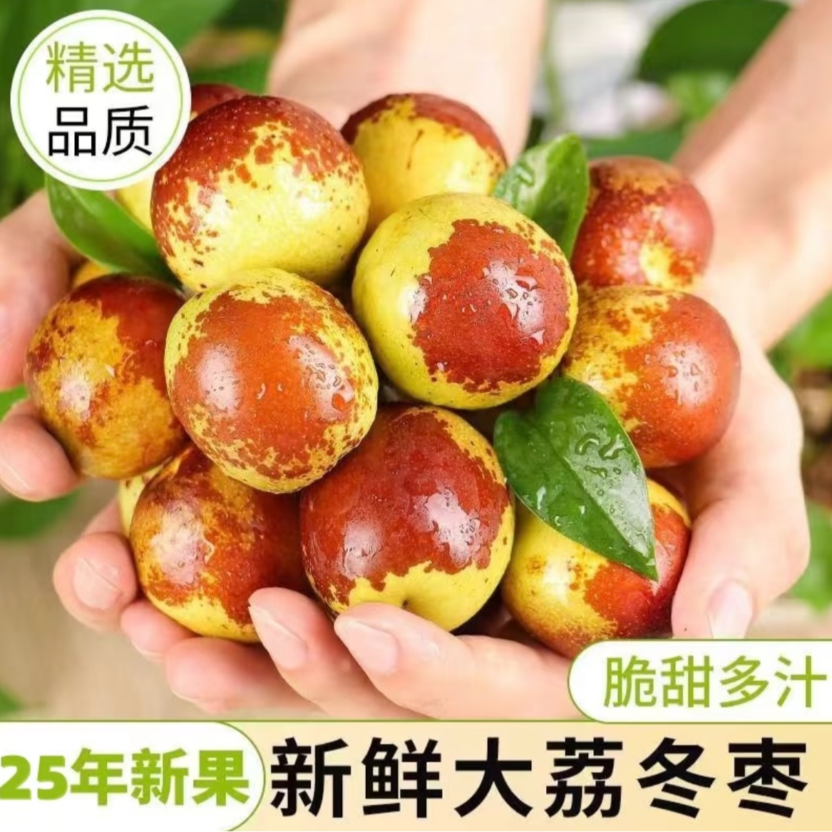 A正宗大荔冬枣2025当季现摘现发新鲜应季脆甜水果