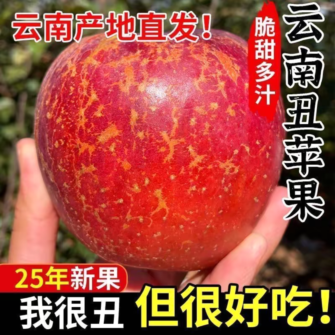 云南高原丑苹果新鲜现摘好吃酸甜脆甜新鲜水果果园直发
