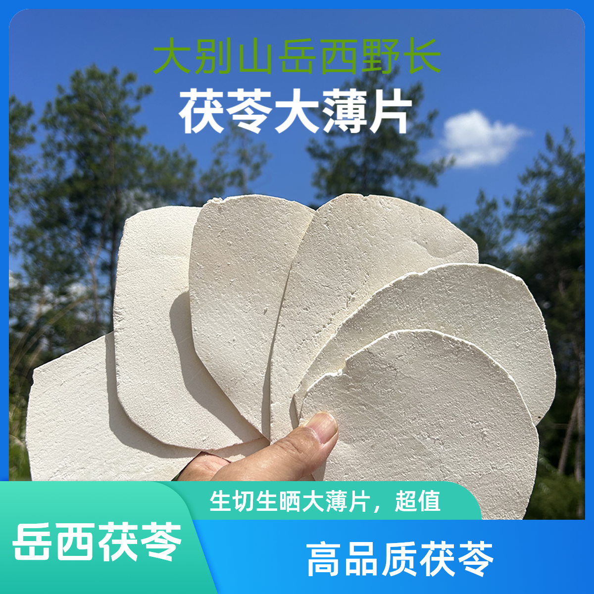 正宗大别山岳西茯苓片生切生晒无硫干货茯苓粉搭配陈皮泽泻土茯苓