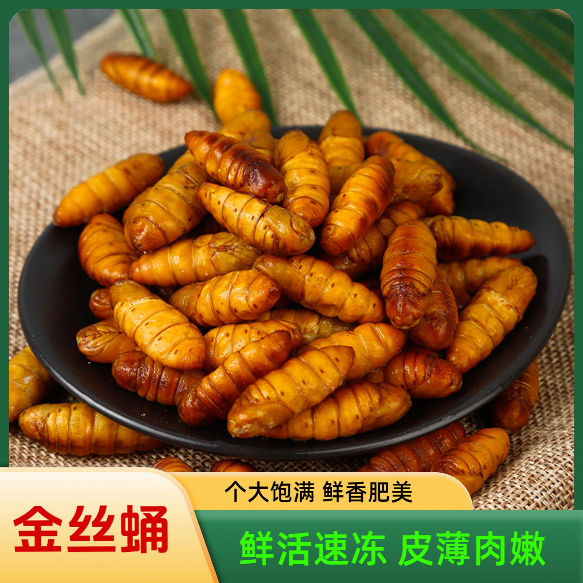 山东特产蚕蛹金丝蚕蛹速冻黄蛹桑蚕1斤2斤3斤烧烤特级金丝蛹速冻