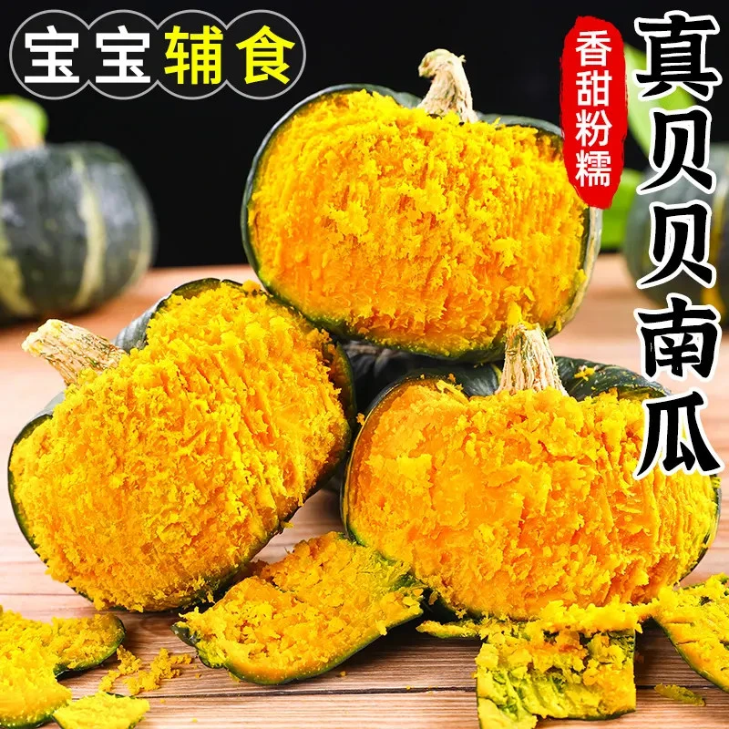 【正宗贝贝南瓜】板栗小南瓜正宗新鲜老南瓜粉糯香甜宝宝辅食蔬菜
