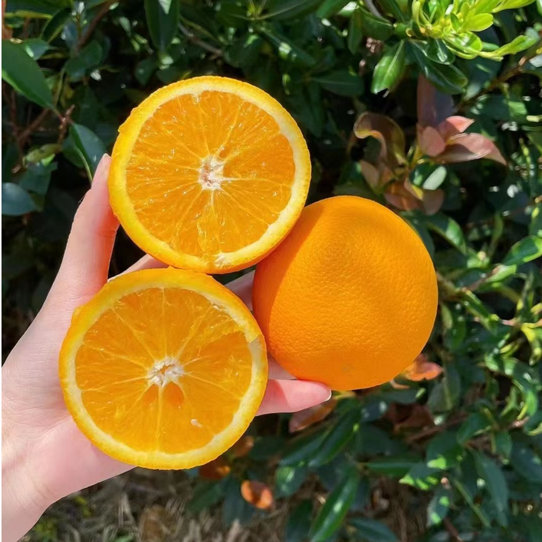 赣南脐橙上堡水南村脐橙10斤20斤九省包邮橙子江西赣南正宗