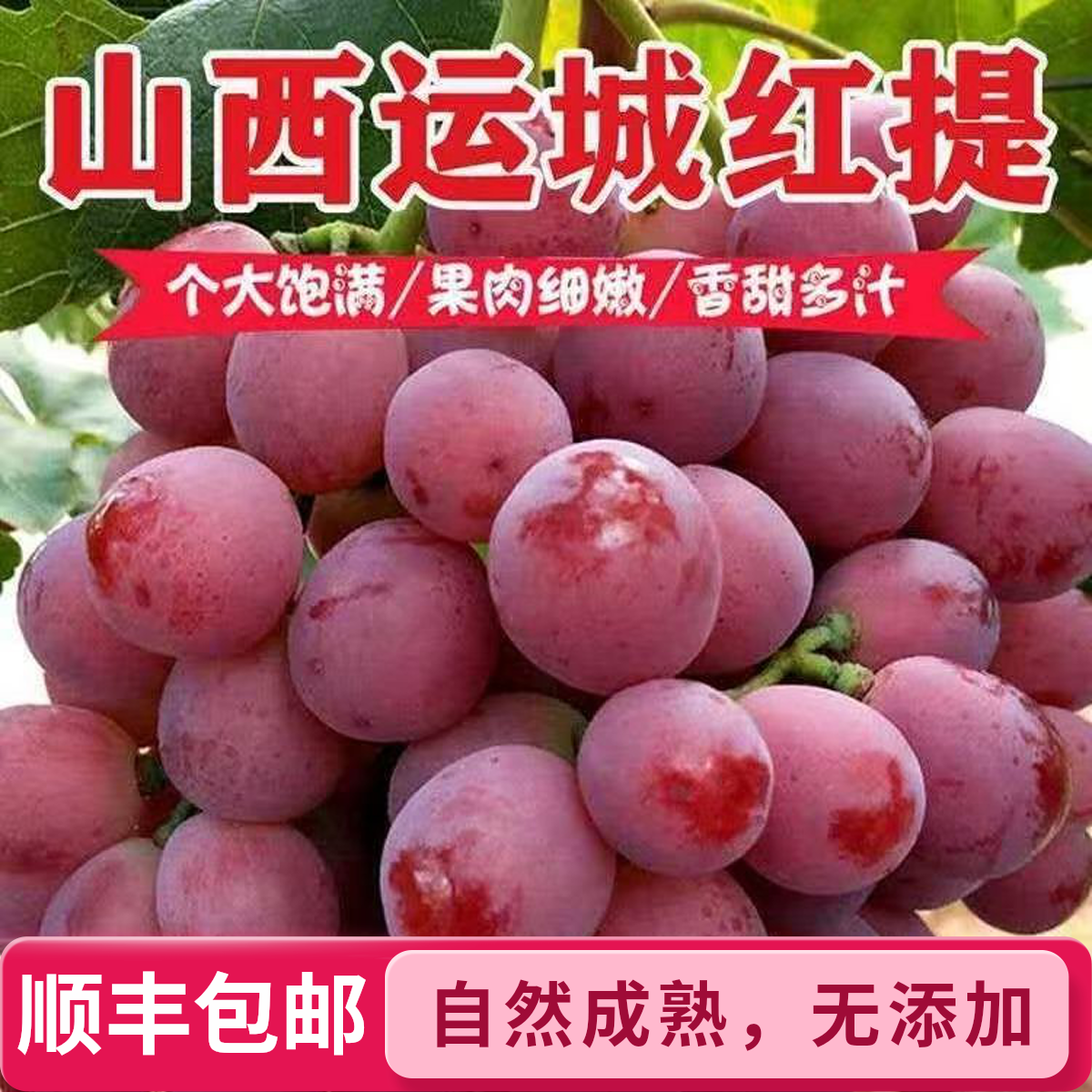 【顺丰包邮】新鲜红提有籽葡萄当季红提子非克伦生孕妇水果产地直发