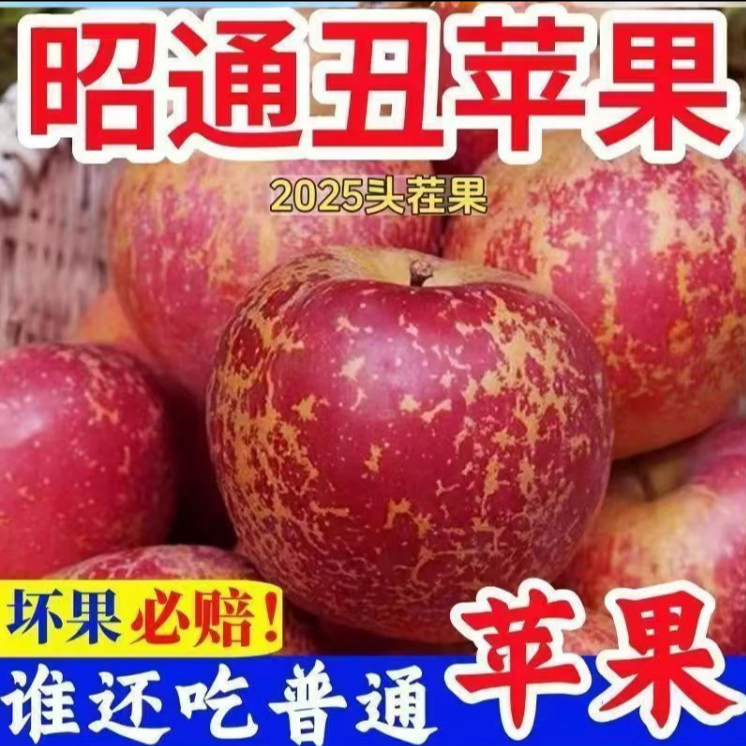 云南昭通苹果原产地直发脆甜多汁包邮到家