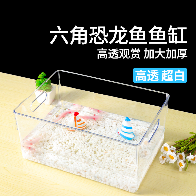 六角恐龙鱼专用缸养蝾螈的饲养鱼缸宠物小型观赏鱼生态造景躲避屋