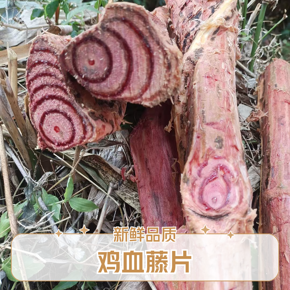 【广西正宗鸡血藤】皮红肉红老藤根新鲜片500g