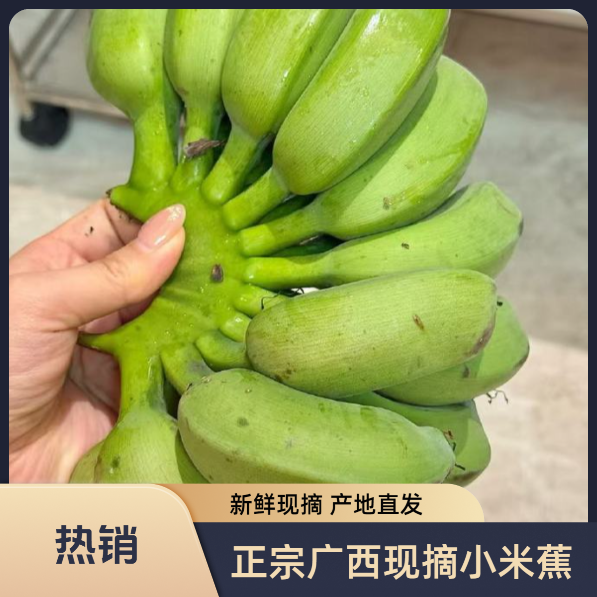 【特惠】正宗广西高山小米蕉绿蕉发货新鲜现摘当季蕉甜香产地直发