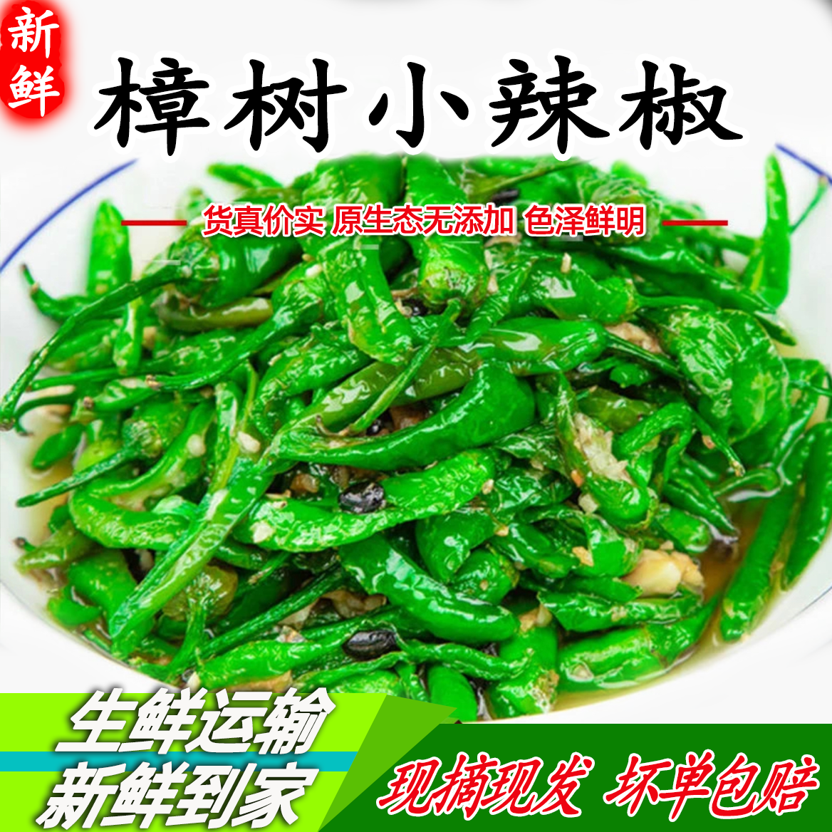 微辣【顺丰发货】樟树小辣椒薄皮软香嫩小青椒湖南品种新鲜现摘现发
