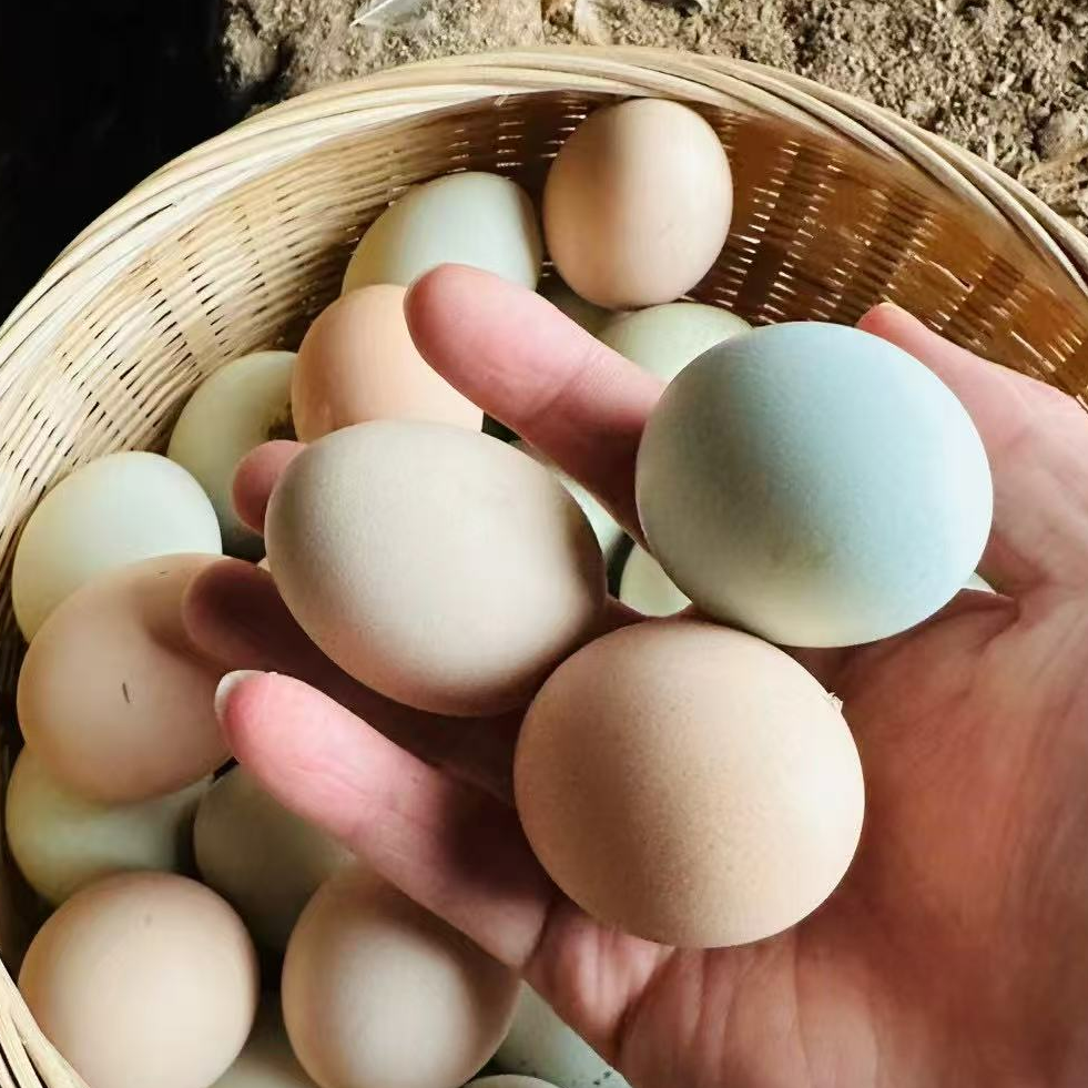 大别山散养散放土鸡蛋现捡现发到手40个