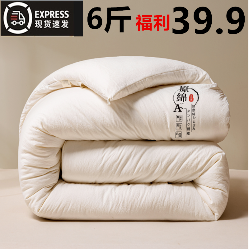大豆被jz纤维被子贴身加厚冬被春秋四季棉被学生宿舍单人被褥被芯
