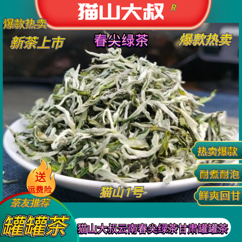 【猫山1号】2025新茶云南春尖绿茶西北陕甘宁兰州天水甘肃罐罐茶
