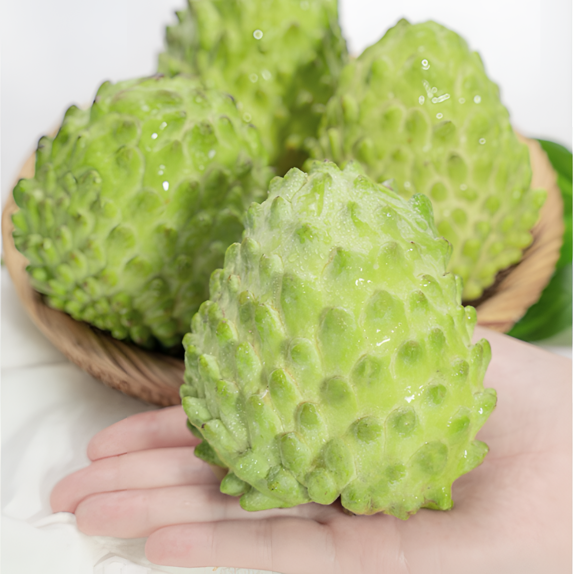 精选广西应季凤梨牛奶释迦果软糯凤梨释迦果肉甜蜜多汁新鲜送礼