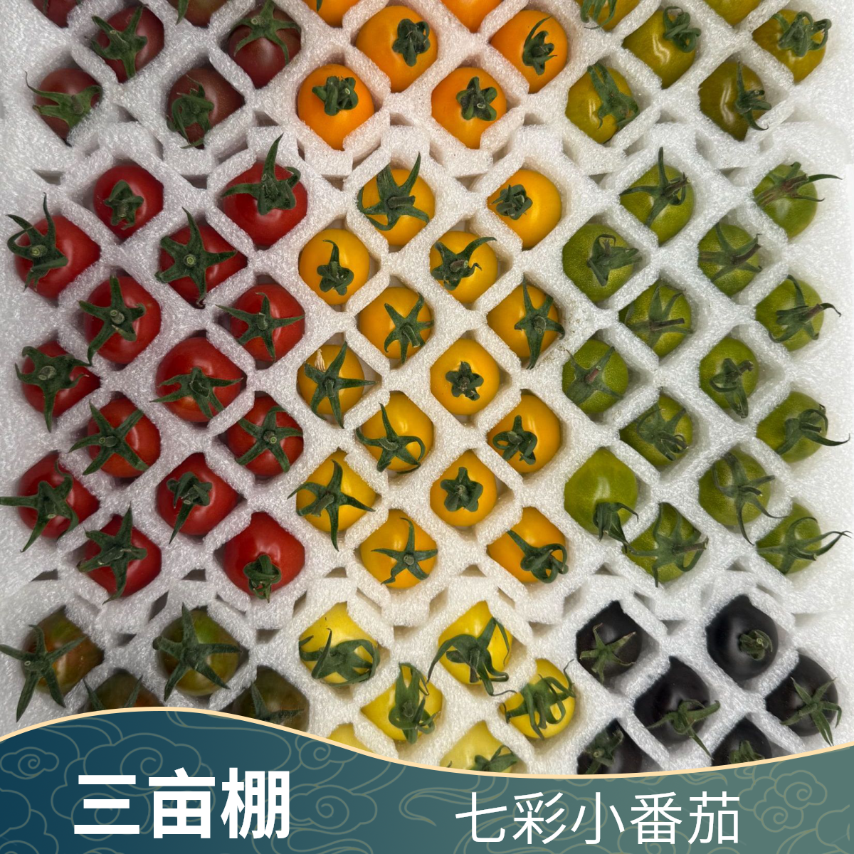 七色小番茄彩虹小番茄七彩小番茄拉网包装