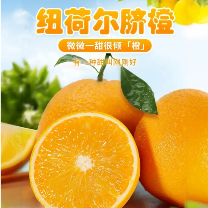 湖北高山纽荷尔产地新鲜采摘手剥甜橙当季水果X