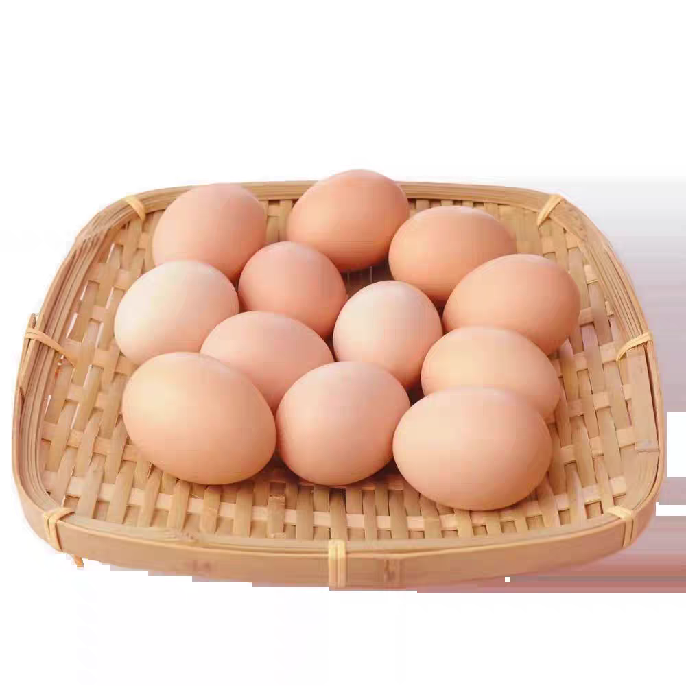 蒙阴农家新鲜土鸡蛋农家散养纯五谷喂养营养健康无抗适合孕妇月子