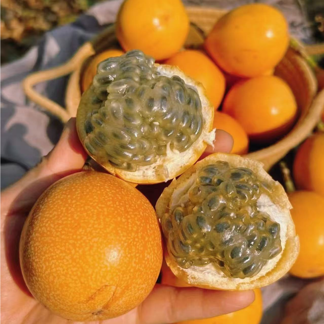 【顺丰包邮】云南西双版纳热情果纯甜爆汁新鲜水果黄百香果产地直发