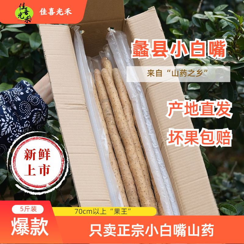 蠡县新鲜正宗小白嘴山药铁棍山药淮山药营养丰富新鲜粉糯农家蔬菜