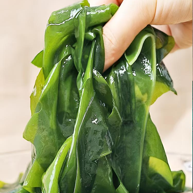 大连金石滩海洋蔬菜裙带菜半干少盐鲜嫩爽口火锅煲汤炒菜美味营养