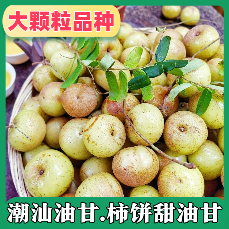 潮汕柿饼甜油甘马蹄油甘果牛甘余甘甜种甘果回甘滇甘新鲜油柑产地