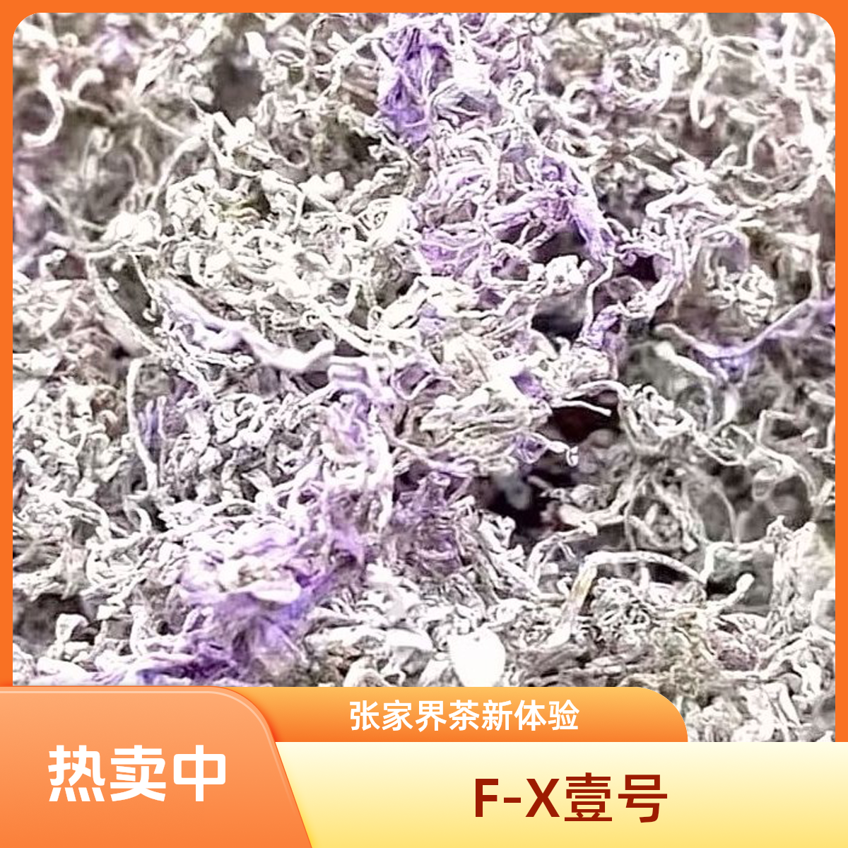 新人专享张家界明前芽尖高山荒料正宗藤茶莓茶紫金F-X壹号茶