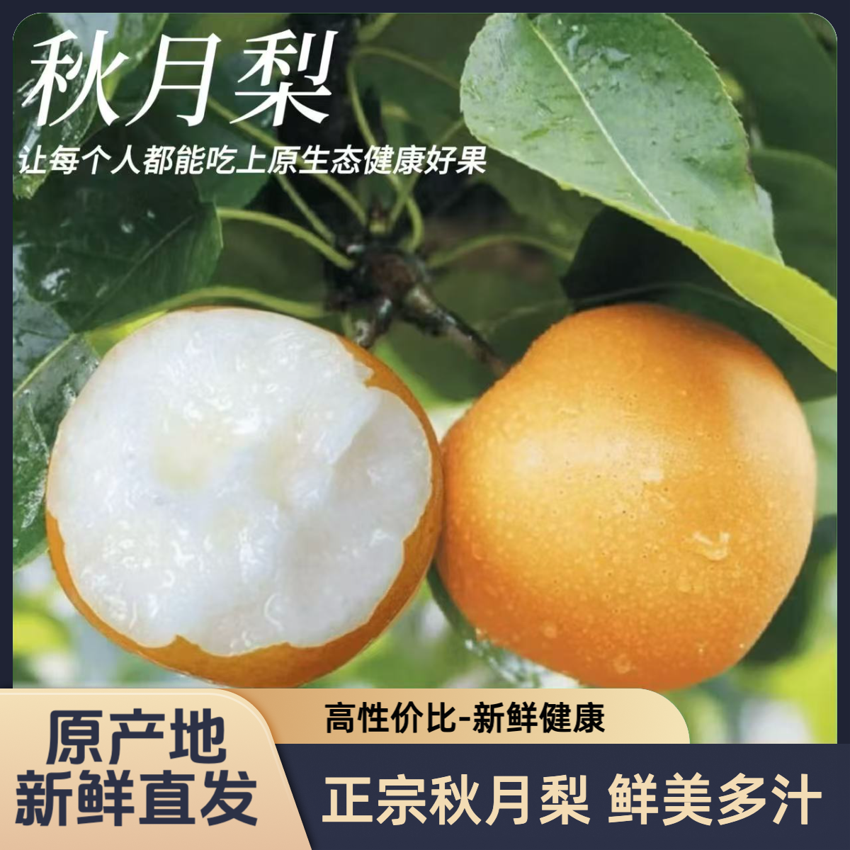 正宗秋月梨现摘现发产地直发脆甜多汁坏果包赔礼盒水果当季热卖