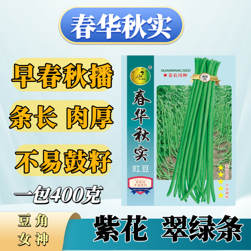 春华秋实豇豆种子，翠绿色、小叶型，条长顺直早熟，春秋播，高产