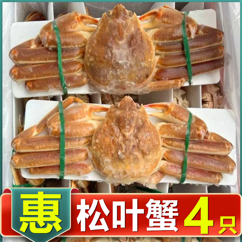 新鲜松叶蟹3斤长脚蟹俄罗斯板蟹雪蟹帝王蟹活冷冻酒楼食材批发