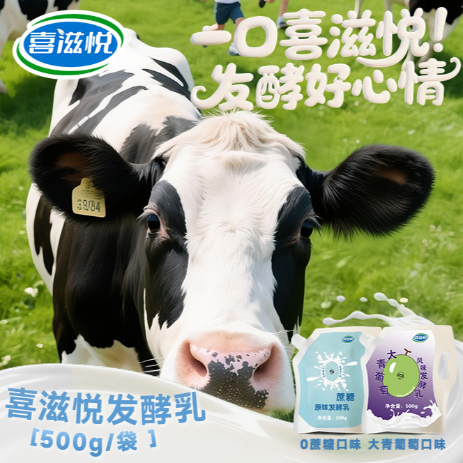 喜滋悦{酸奶1斤组合装}低温风味发酵乳