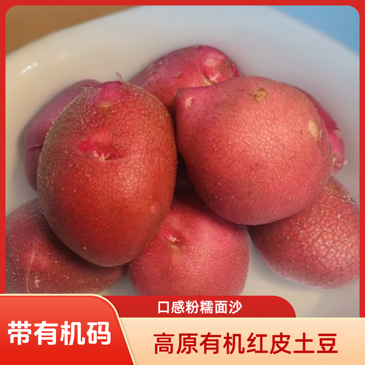 高原有机红皮土豆特大果4斤(李琬有机菜)