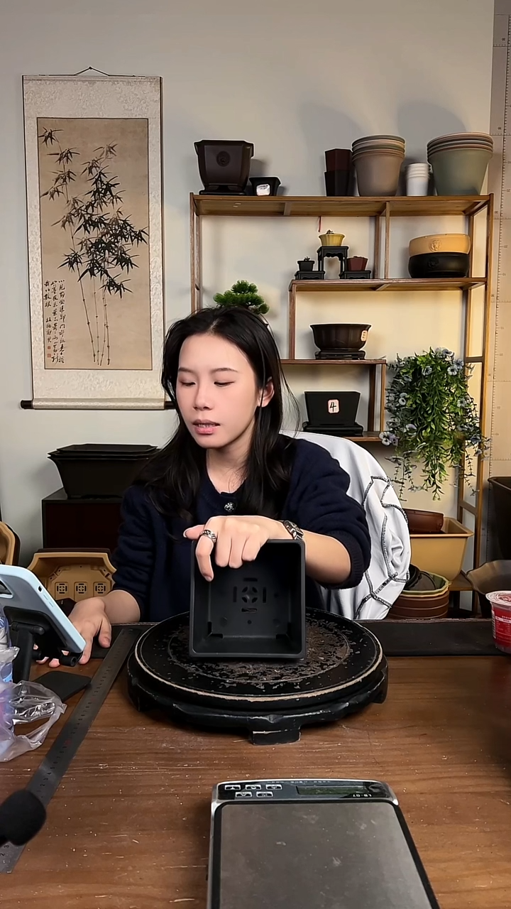 13.8*9.5奎面50只盆绛紫 紫檀各一半