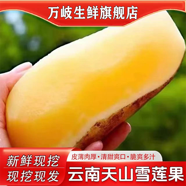 【彩箱气柱】云南天山雪莲果新鲜黄心雪莲果水果新鲜脆爽多汁清甜