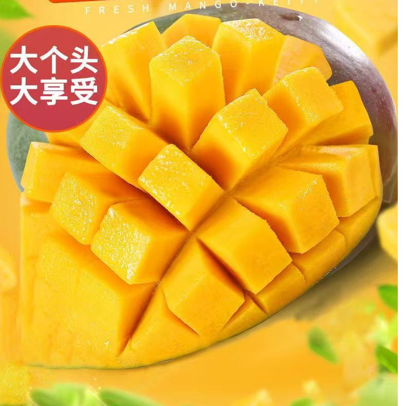 攀枝花凯特芒果酸甜多汁香味浓郁新鲜现摘水果带箱五斤3-6个果