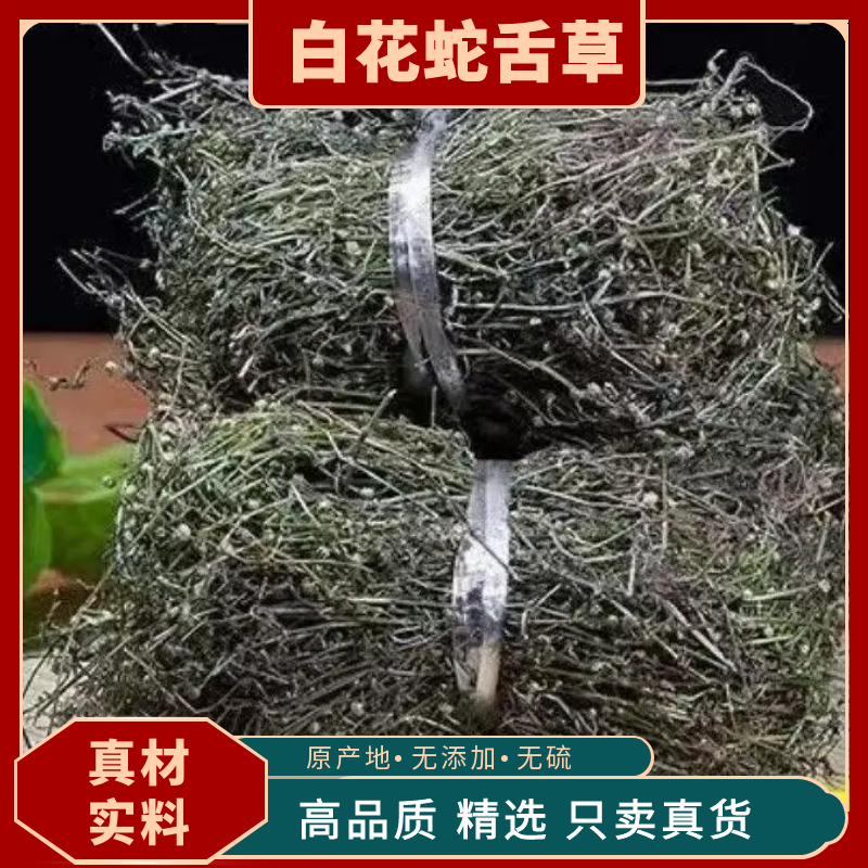 白花蛇舌草整株中药材精选天然野生白花蛇舌草野生白花蛇舌草干货