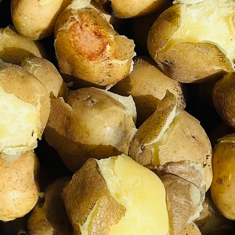 2025高原青海互助沙、面 、散土豆洋芋（马铃薯）