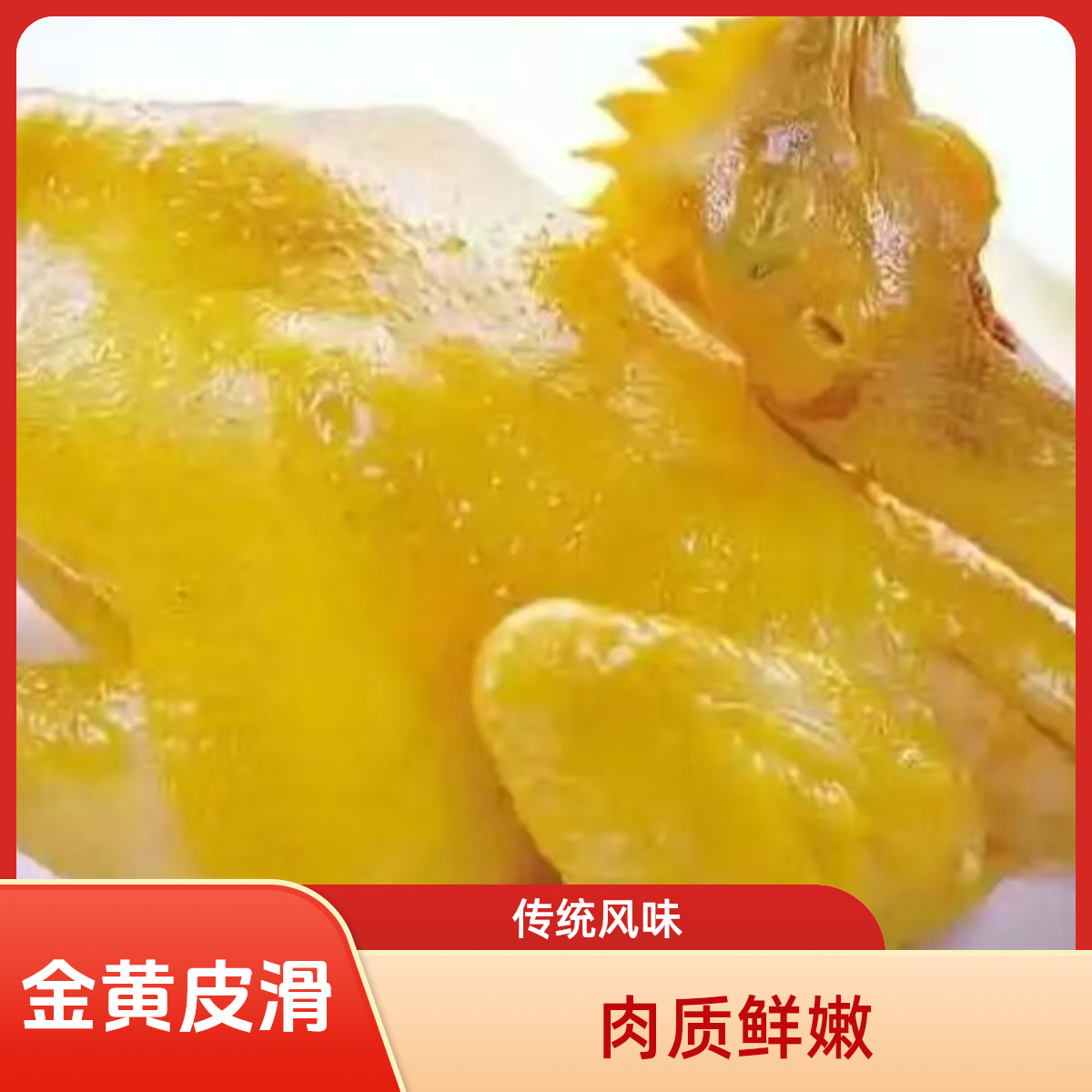 走地鸡脆皮老鸡顺丰包邮肉质鲜嫩美味