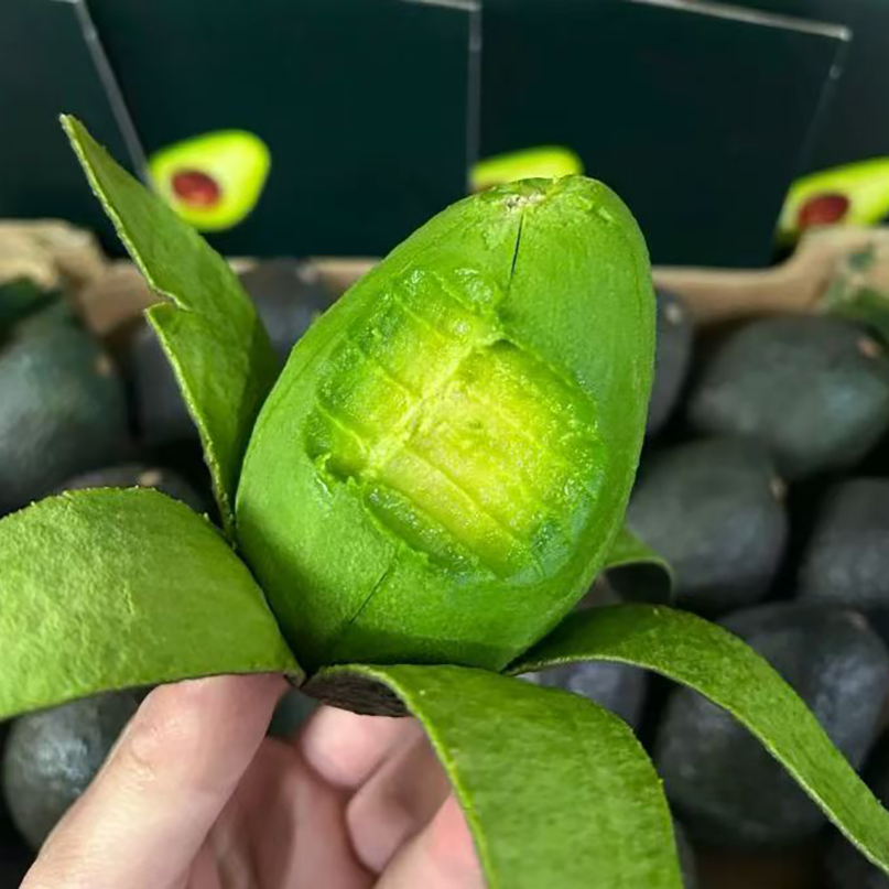 【小荷鲜】云南哈斯牛油果4-8颗礼盒装单果100-260g