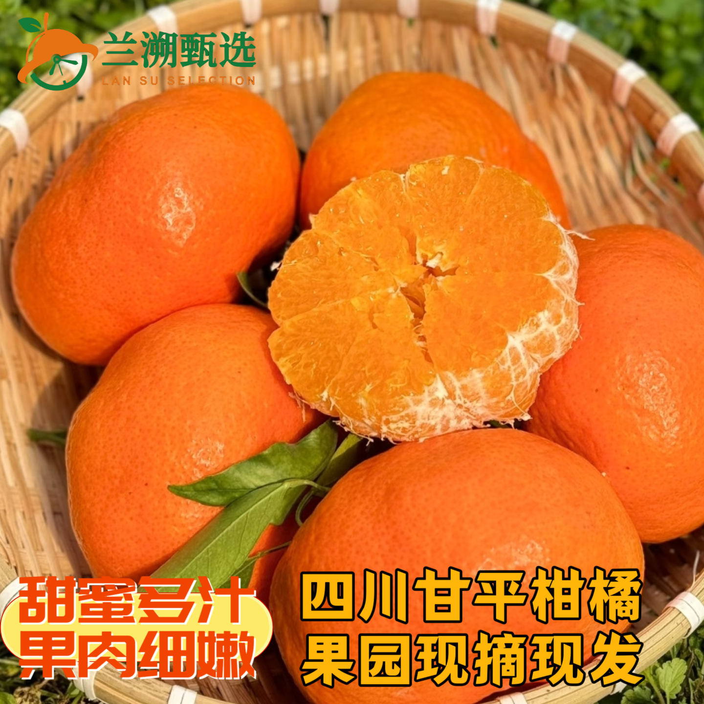 【杨德强助农】正宗四川甘平柑橘高端水果大果当季新鲜水果5/9斤