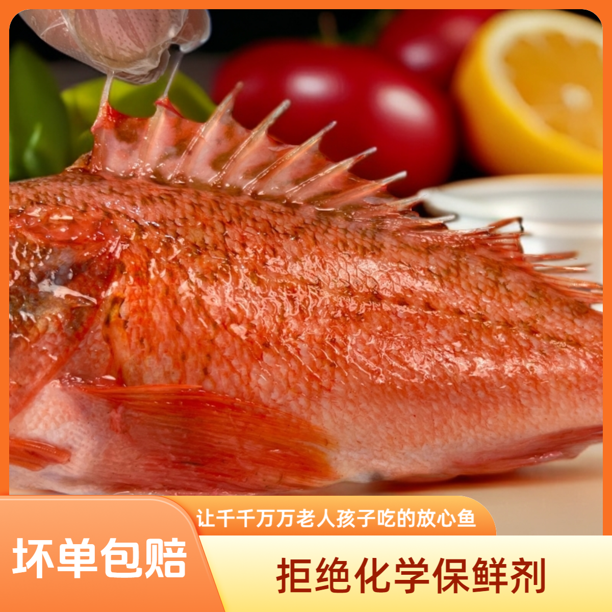 天然海鱼石斑鱼石狗公虎头斑黑腹鲉鱼生鲜海鲜小红斑发货顺丰包邮