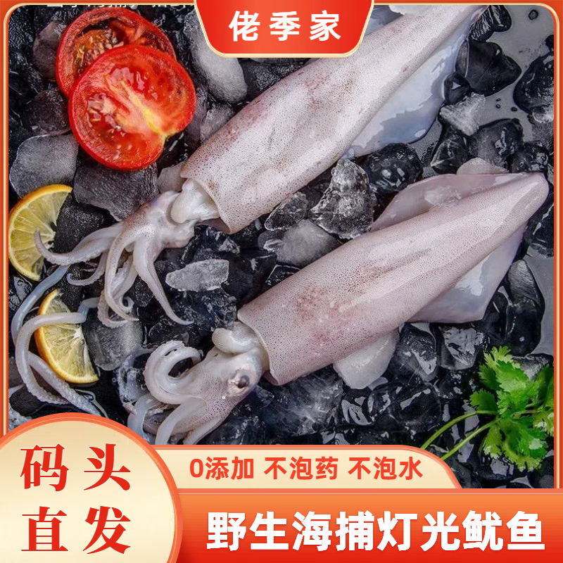 佬季家 当季野生捕捞不缩水  灯光鱿鱼