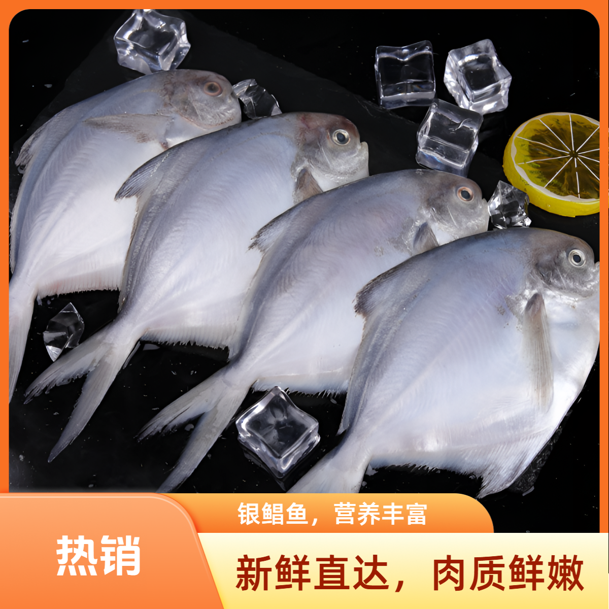 深海海捕银鲳鱼 拍4斤送1斤到手5斤 新鲜速冻 冷链运输包邮5