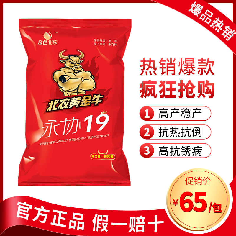 不空棵不花粒不倒伏不穗腐抗性强品质优产量高黄金牛永协19！