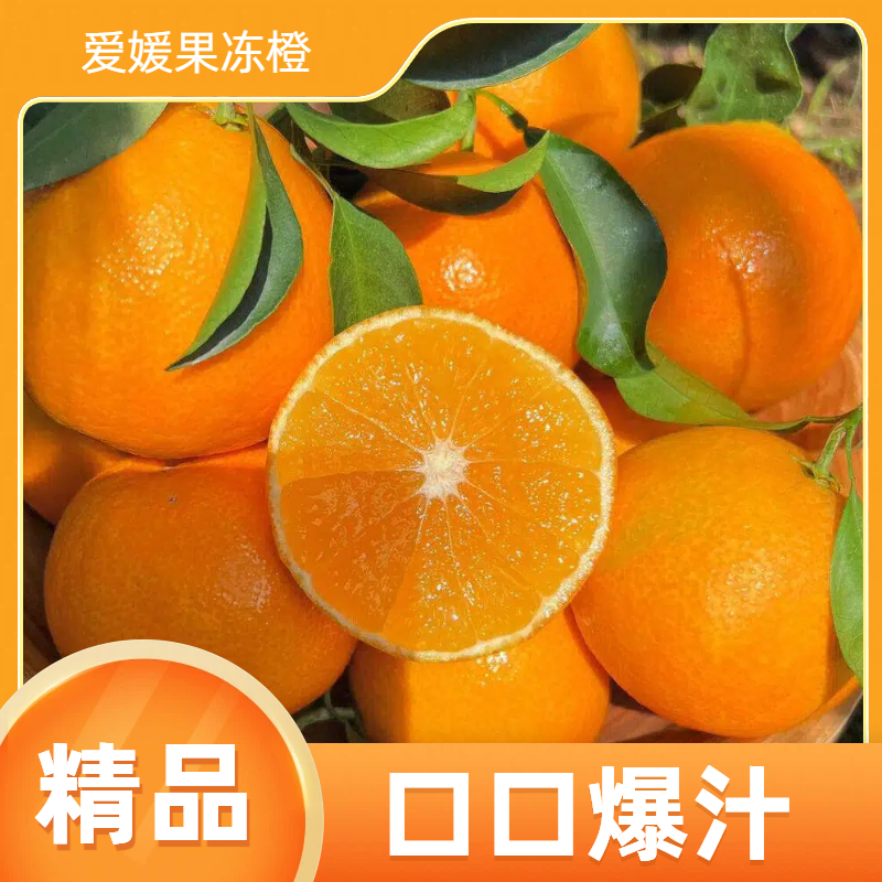 正宗四川爱媛38果冻橙新鲜手剥橙子香甜爆汁产地直发H