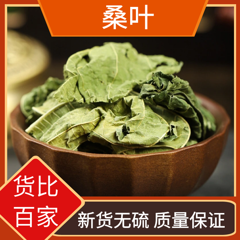 干桑叶精选桑树叶霜后桑叶泡水泡茶喝桑叶新货250g-500g干货包邮