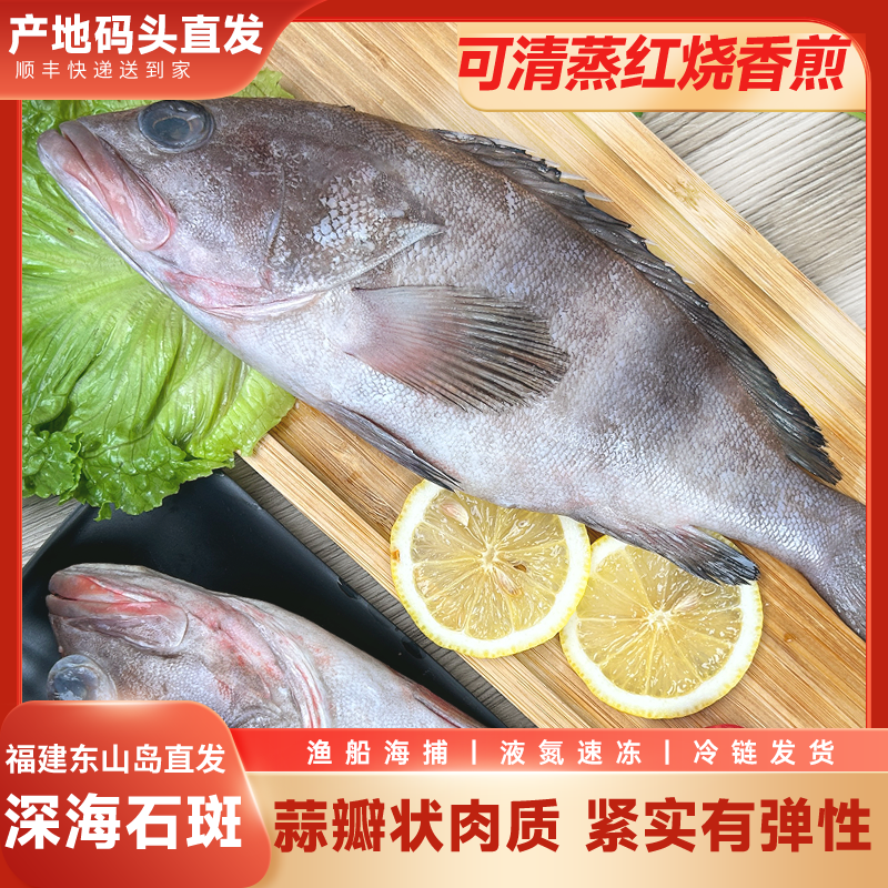 深海海捕石斑鱼 速冻发货 福建东山岛直发肉厚刺少不腥不柴深海鱼