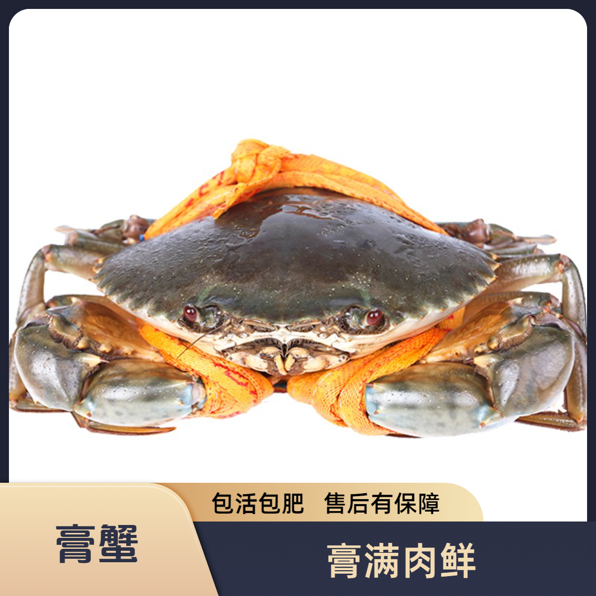 正宗浙江三门青蟹膏蟹海鲜水产螃蟹鲜活发货螃蟹生鲜新鲜大螃蟹