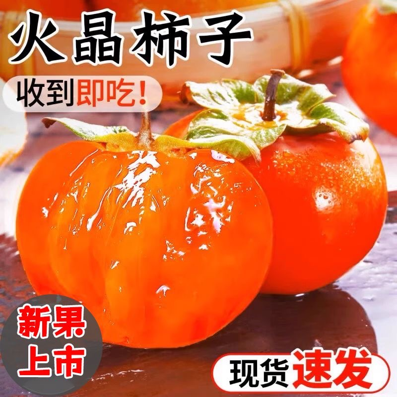(收到货放2-3天变软)火晶柿子现摘现发果园直发坏果包赔