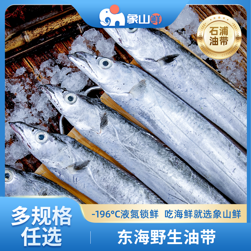 象山鲜东海捕小眼油带鱼液氮锁鲜多规格石浦码头直发海鲜水产