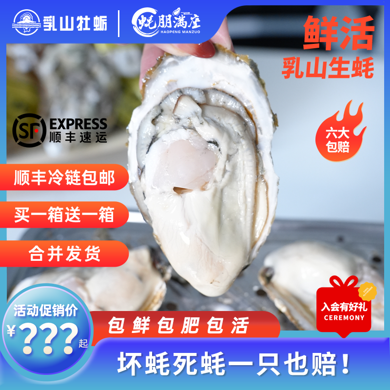 【买1箱送1箱】蚝朋满座乳山生蚝海鲜大生蚝鲜活顺丰4斤1箱合发8斤
