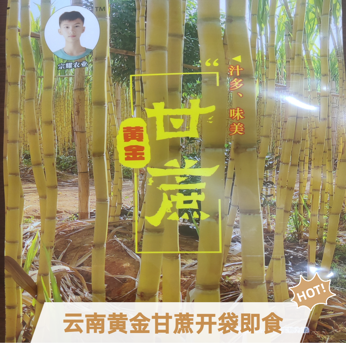 云南黄金水果甘蔗袋装软罐头开袋即食上班追剧零食产地直发