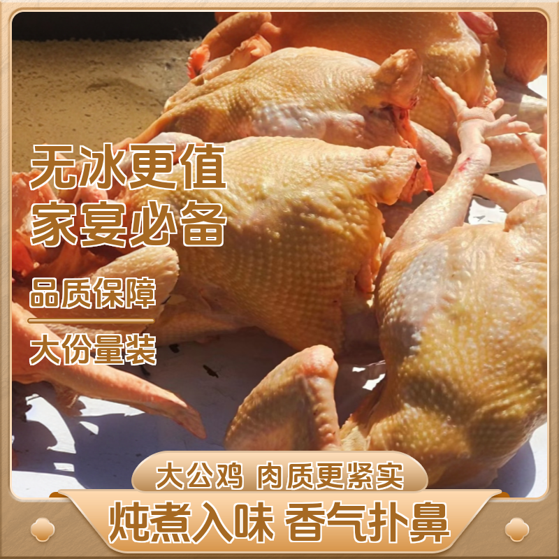 【昌吉毛姐新疆包邮】麻羽大公鸡 包冰率不含冰